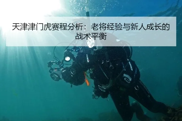 天津津门虎赛程分析：老将经验与新人成长的战术平衡